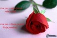 /album/nieco-na-temu-laska-cmuk/obrazky-4ever-sk-ruza-laska-7200202-jpg/